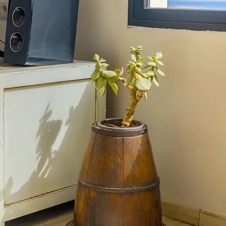 아파트 Mar De Sal 테기세