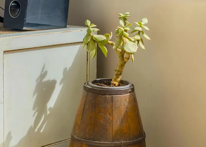 דירה Mar De Sal טגיסי